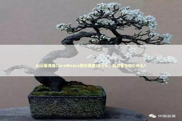 AI云服务商CoreWeave股价暴跌18.5%，投资者在担心什么？