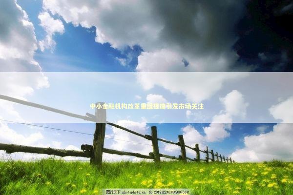 中小金融机构改革重组提速引发市场关注