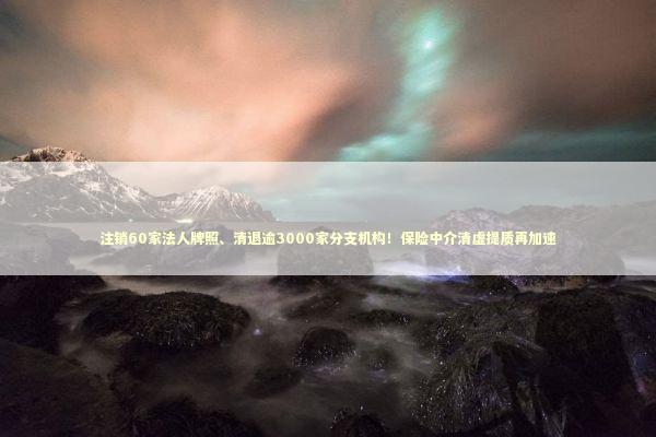 注销60家法人牌照、清退逾3000家分支机构！保险中介清虚提质再加速