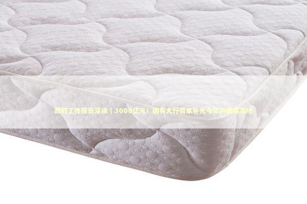 政府工作报告深读｜3000亿元！国有大行资本补充今年将继续落地