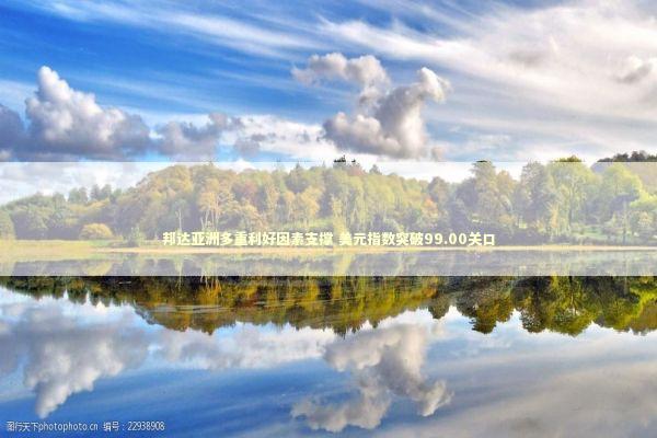 邦达亚洲多重利好因素支撑 美元指数突破99.00关口