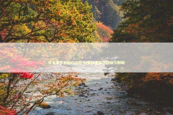 火车票平台被约谈后 付费抢票依然故我引群嘲