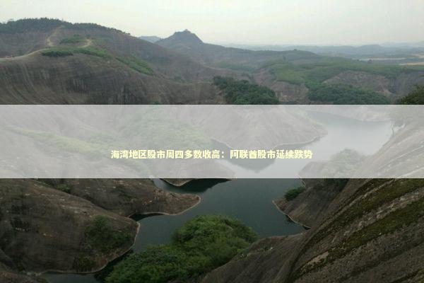 海湾地区股市周四多数收高：阿联酋股市延续跌势