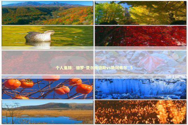 个人集锦：德罗-费尔南德斯vs勒阿弗尔_3