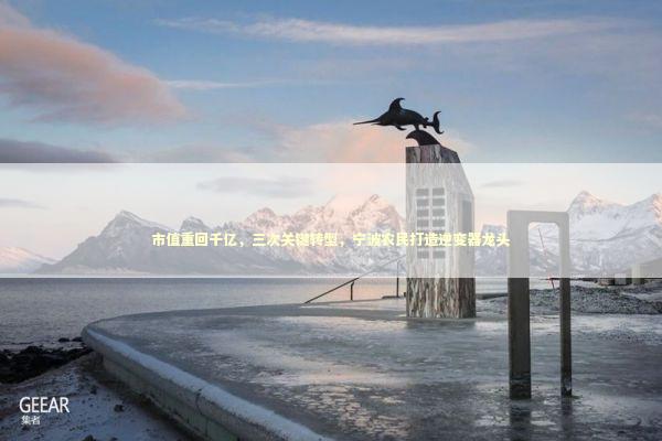 市值重回千亿，三次关键转型，宁波农民打造逆变器龙头