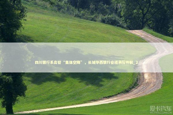 四川银行系高管“集体空降”，长城华西银行业绩承压待解_2