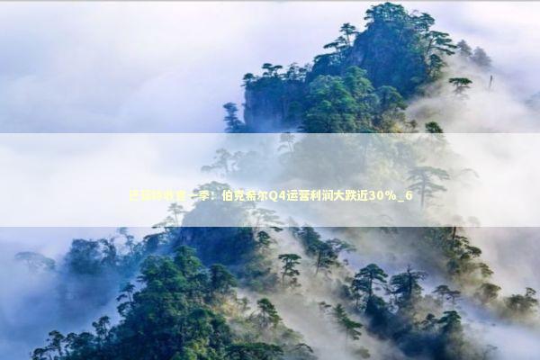 巴菲特收官一季：伯克希尔Q4运营利润大跌近30%_6