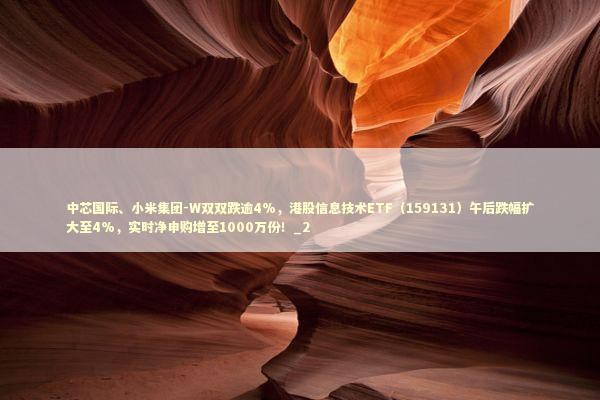 中芯国际、小米集团-W双双跌逾4%，港股信息技术ETF（159131）午后跌幅扩大至4%，实时净申购增至1000万份！_2