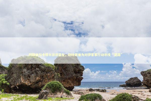 阿联酋与卡塔尔游说盟友，助特朗普为对伊军事行动寻找“退路”