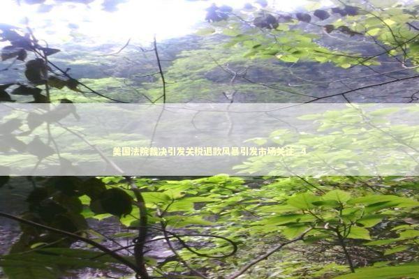 美国法院裁决引发关税退款风暴引发市场关注_4