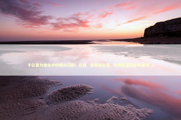 千亿算力龙头中科曙光闪崩！总裁、高级副总裁、财务总监同步拟减持_1