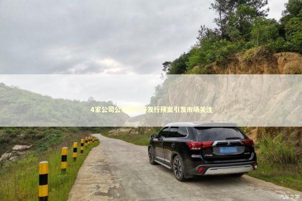 4家公司公布非公开发行预案引发市场关注