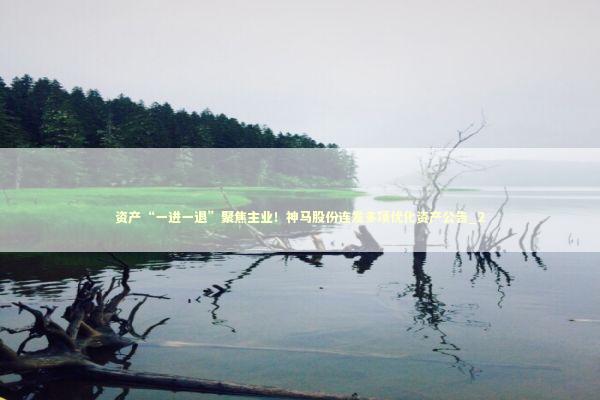 资产“一进一退”聚焦主业！神马股份连发多项优化资产公告_2
