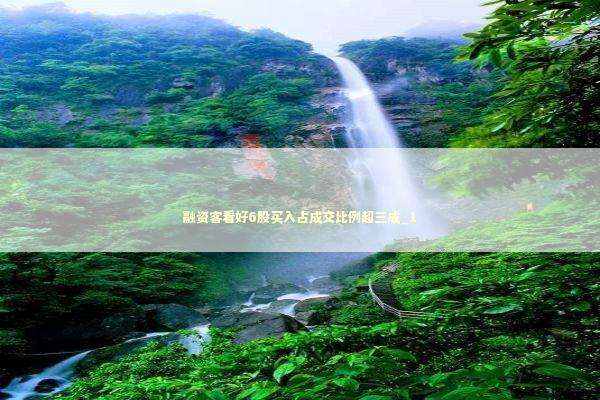 融资客看好6股买入占成交比例超三成_1