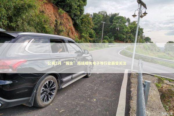 公募2月“掘金”路线曝光电子等行业最受关注