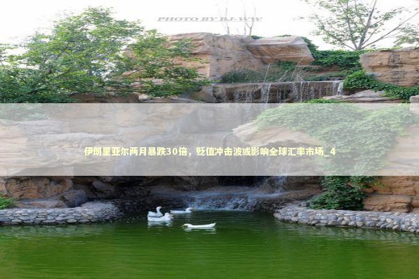 伊朗里亚尔两月暴跌30倍，贬值冲击波或影响全球汇率市场_4