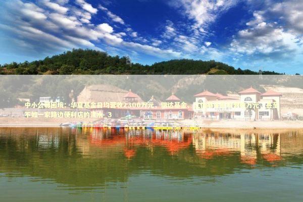 中小公募困境：华夏基金日均营收2300万元，瑞达基金、江信基金日均营收万元，甚至不如一家路边便利店的流水_3