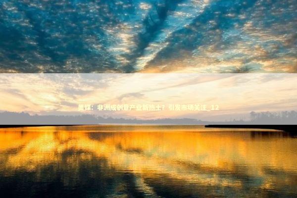 美媒：非洲成创意产业新热土？引发市场关注_12