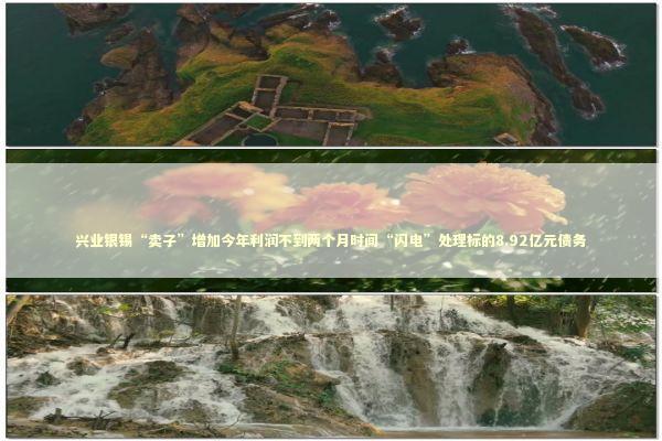 兴业银锡“卖子”增加今年利润不到两个月时间“闪电”处理标的8.92亿元债务