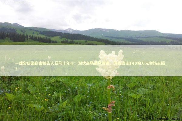 一珠宝店盗窃案被告人获刑十年半：潜伏商场通风管道，深夜盗走140余万元金饰玉镯_3