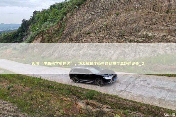 迈向“生命科学英伟达”，华大智造坐稳生命科技工具绝对龙头_2