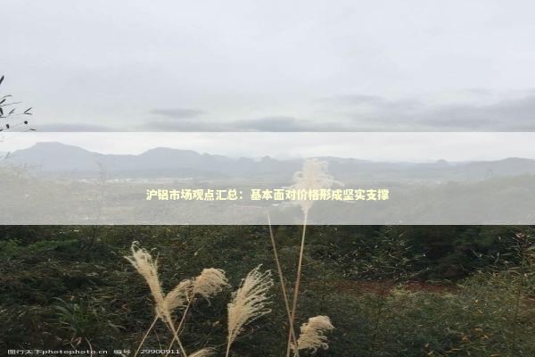 沪铝市场观点汇总：基本面对价格形成坚实支撑