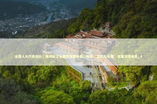 全国人大代表田轩：推动设立全国性独董协会，构建“监管与自律”双重治理体系_4