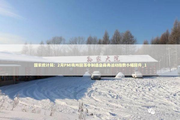 国家统计局：2月PMI有所回落非制造业商务活动指数小幅回升_1