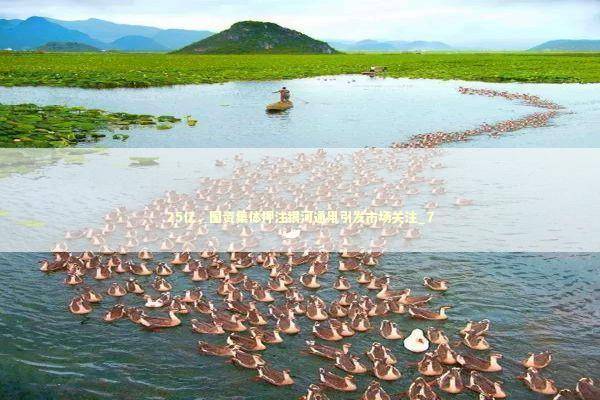 25亿，国资集体押注银河通用引发市场关注_7