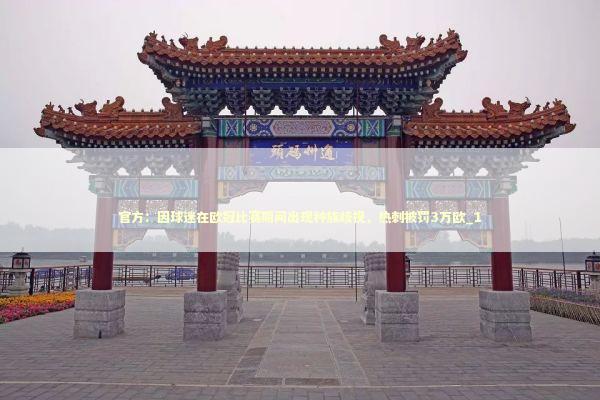 官方：因球迷在欧冠比赛期间出现种族歧视，热刺被罚3万欧_1 新闻