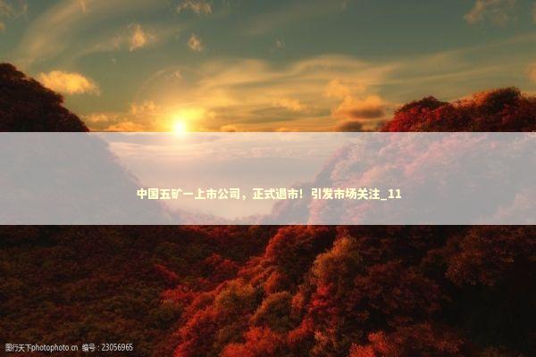 中国五矿一上市公司，正式退市！引发市场关注_11