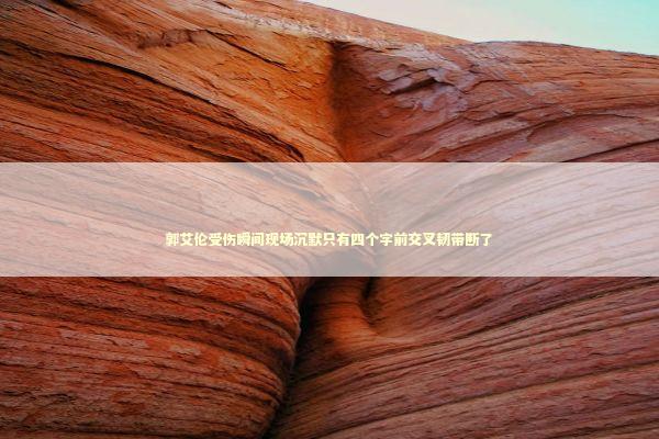 郭艾伦受伤瞬间现场沉默只有四个字前交叉韧带断了