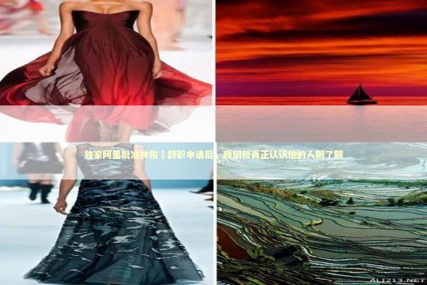 独家阿里批准林俊旸辞职申请后，我们和真正认识他的人聊了聊