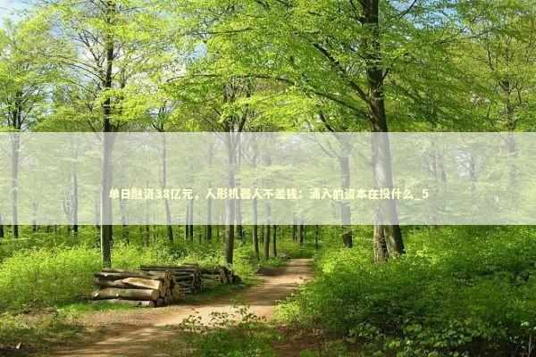 单日融资38亿元，人形机器人不差钱：涌入的资本在投什么_5