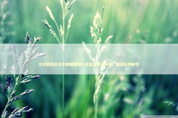 北大教授孔庆东被曝爆粗口攻击汉服支持者：皇汉杂种畜牲
