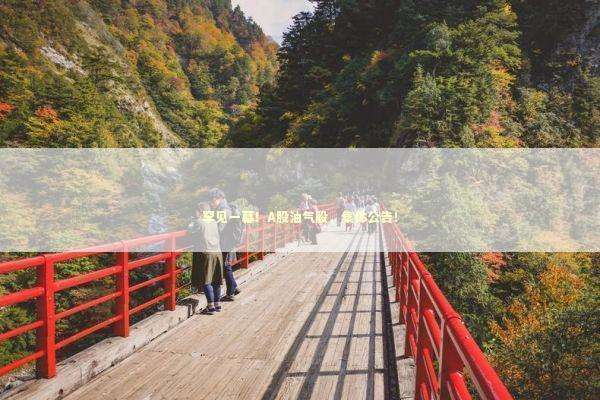 罕见一幕！A股油气股，集体公告！