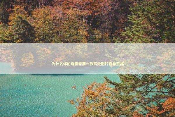 为什么你的电脑需要一款高效图片查看工具