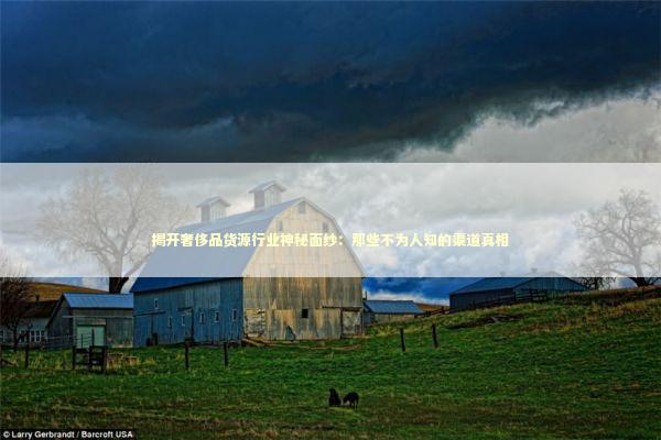 揭开奢侈品货源行业神秘面纱：那些不为人知的渠道真相